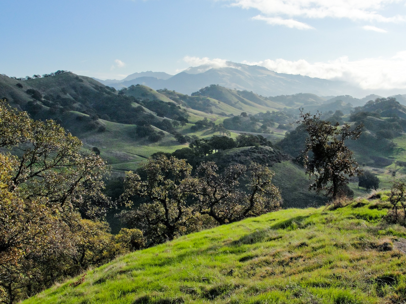 Oak-dotted hills and hiking trails below Mount Diablo in Contra Costa County